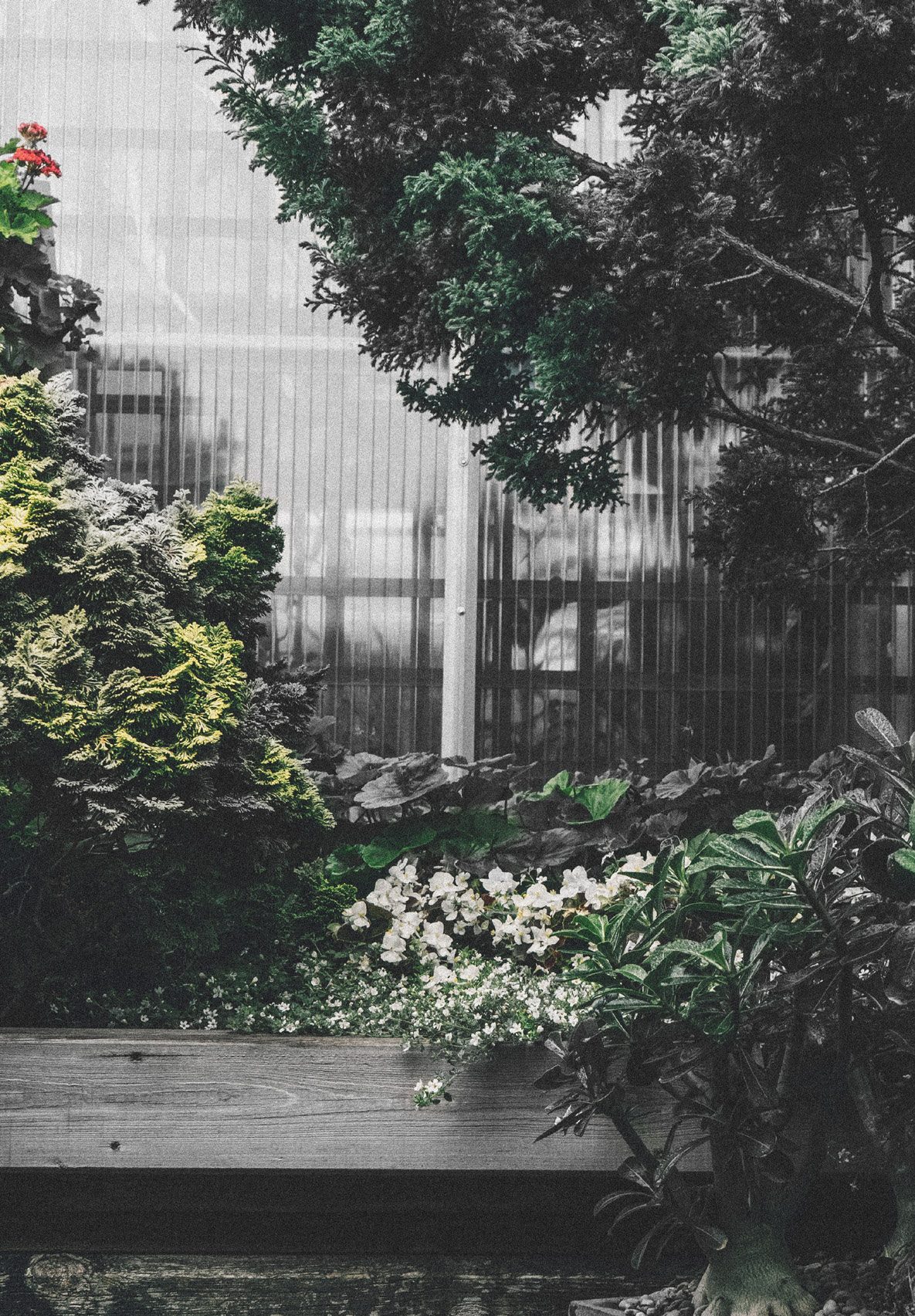 The garden of Ikigai (artist’s impression)